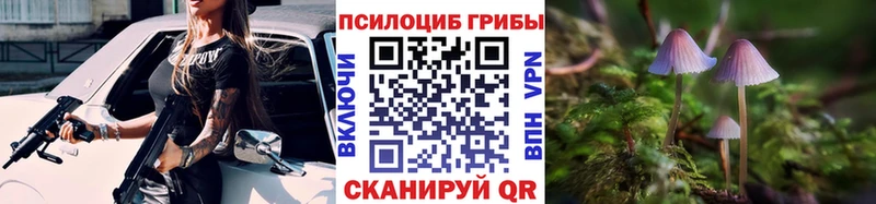 blacksprut маркетплейс  Чебаркуль  Галлюциногенные грибы Psilocybine cubensis 